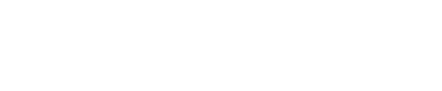 Blue Cross Blue Shield Idaho logo
