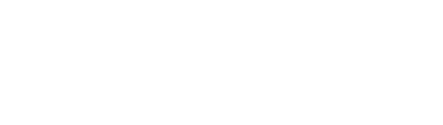 Prime Health Services logo