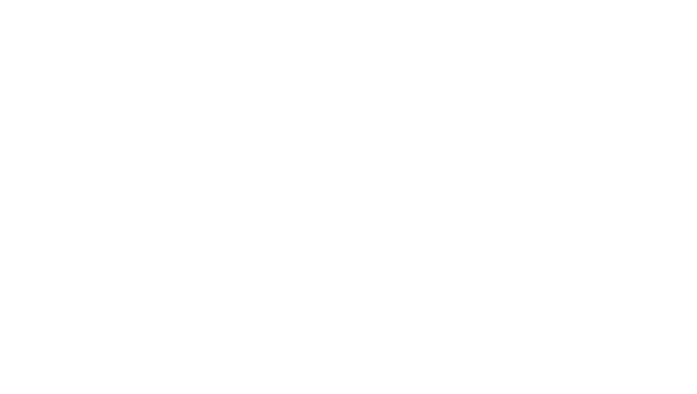 Provider Partners logo
