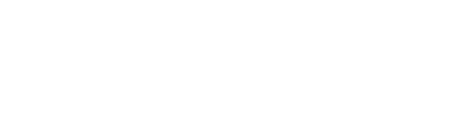 Scan logo